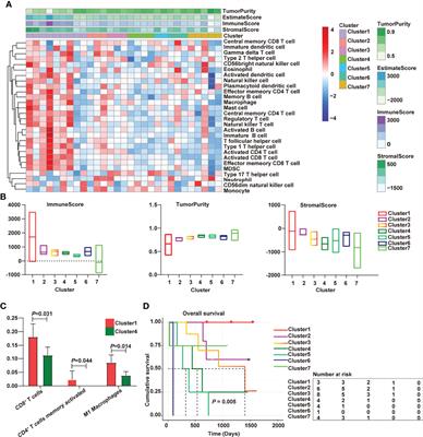 Low expression and Hypermethylation of ATP2B1 in Intrahepatic Cholangiocarcinoma Correlated With Cold Tumor Microenvironment